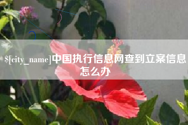 淮滨中国执行信息网查到立案信息怎么办