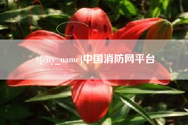 淮滨中国消防网平台