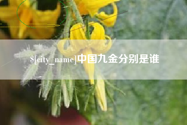 淮滨中国九金分别是谁