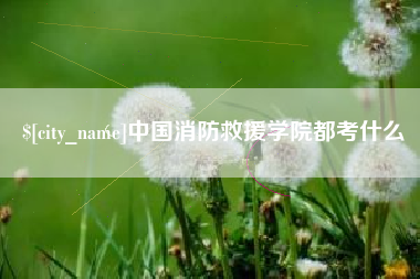 淮滨中国消防救援学院都考什么