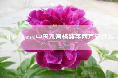 淮滨中国九宫格数字西方是什么