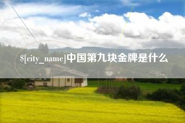 淮滨中国第九块金牌是什么