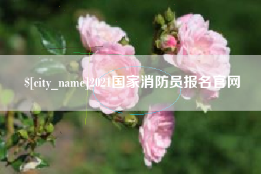 淮滨2021国家消防员报名官网