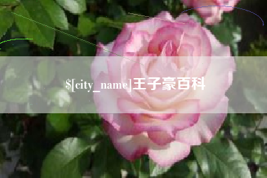 淮滨王子豪百科