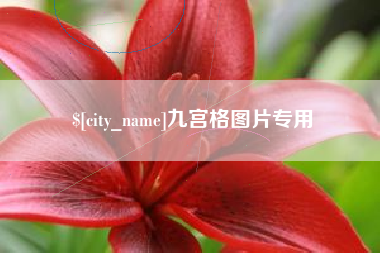 淮滨九宫格图片专用