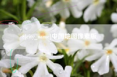淮滨中国地图像素版