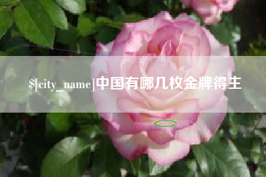 淮滨中国有哪几枚金牌得主