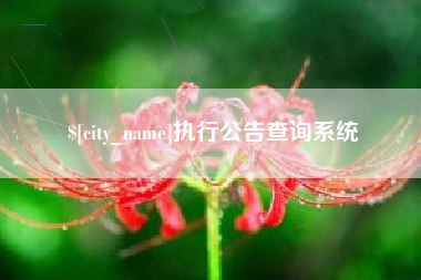 淮滨执行公告查询系统