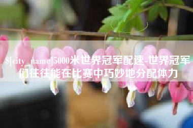 淮滨5000米世界冠军配速-世界冠军们往往能在比赛中巧妙地分配体力