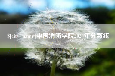 淮滨中国消防学院2024年分数线