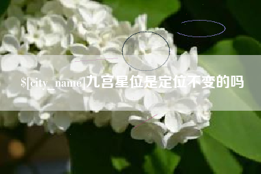 淮滨九宫星位是定位不变的吗