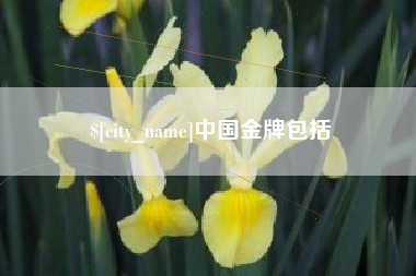 淮滨中国金牌包括