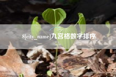 淮滨九宫格数字排序