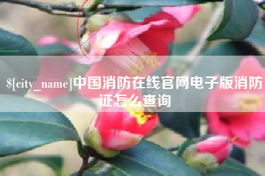淮滨中国消防在线官网电子版消防证怎么查询