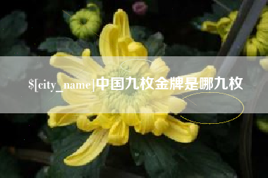 淮滨中国九枚金牌是哪九枚