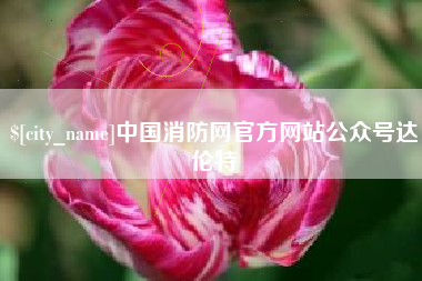 淮滨中国消防网官方网站公众号达伦特