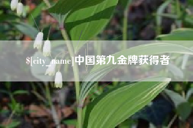 淮滨中国第九金牌获得者