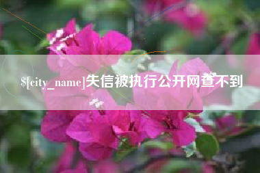 淮滨失信被执行公开网查不到