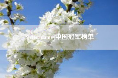 淮滨中国冠军榜单