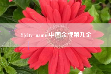 淮滨中国金牌第九金