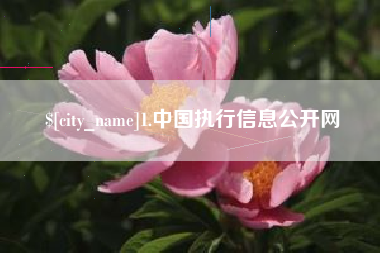 淮滨1.中国执行信息公开网