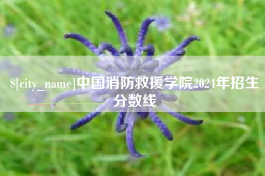 淮滨中国消防救援学院2024年招生分数线