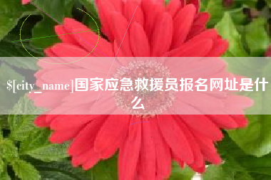 淮滨国家应急救援员报名网址是什么