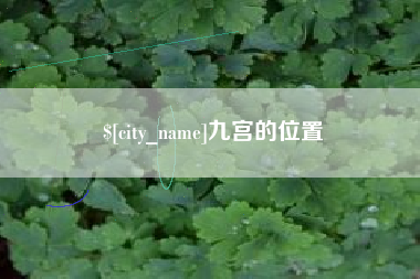淮滨九宫的位置