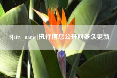 淮滨执行信息公开网多久更新