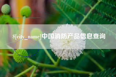 淮滨中国消防产品信息查询