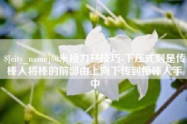 淮滨60米接力赛技巧-下压式则是传棒人将棒的前部由上向下传到接棒人手中