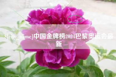 淮滨中国金牌榜2024巴黎奥运会最新