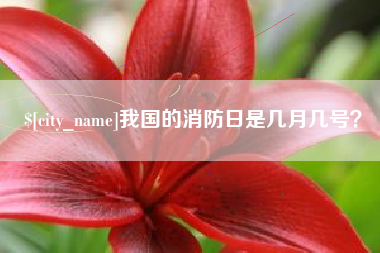 淮滨我国的消防日是几月几号？