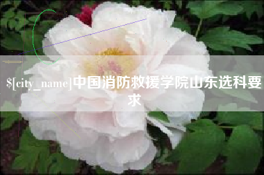 淮滨中国消防救援学院山东选科要求