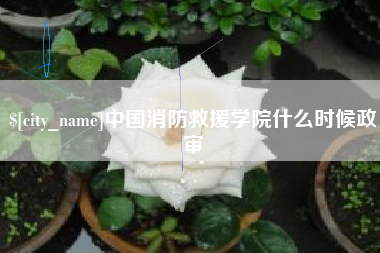淮滨中国消防救援学院什么时候政审