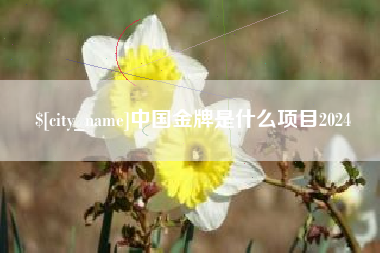 淮滨中国金牌是什么项目2024