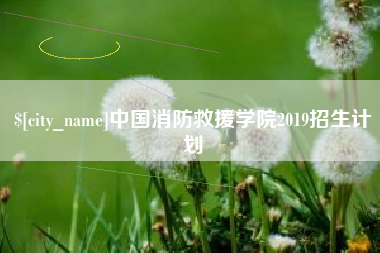 淮滨中国消防救援学院2019招生计划