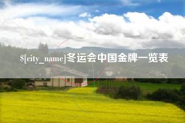 淮滨冬运会中国金牌一览表