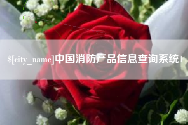 淮滨中国消防产品信息查询系统1
