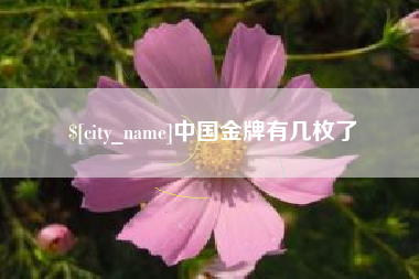 淮滨中国金牌有几枚了
