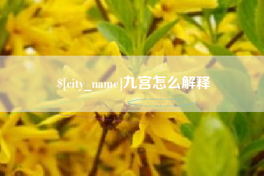 淮滨九宫怎么解释