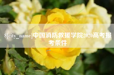 淮滨中国消防救援学院2020高考报考条件