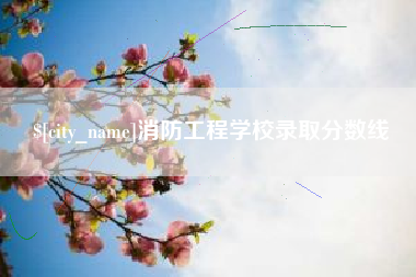 淮滨消防工程学校录取分数线