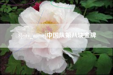 淮滨中国队第八块金牌