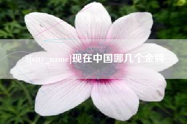 淮滨现在中国哪几个金牌