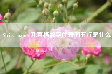 淮滨九宫格数字代表的五行是什么