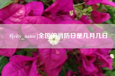 淮滨全国的消防日是几月几日