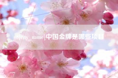 淮滨中国金牌是哪些项目