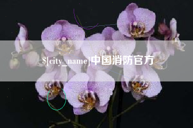 淮滨中国消防官方