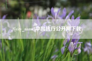 淮滨中国执行公开网下载